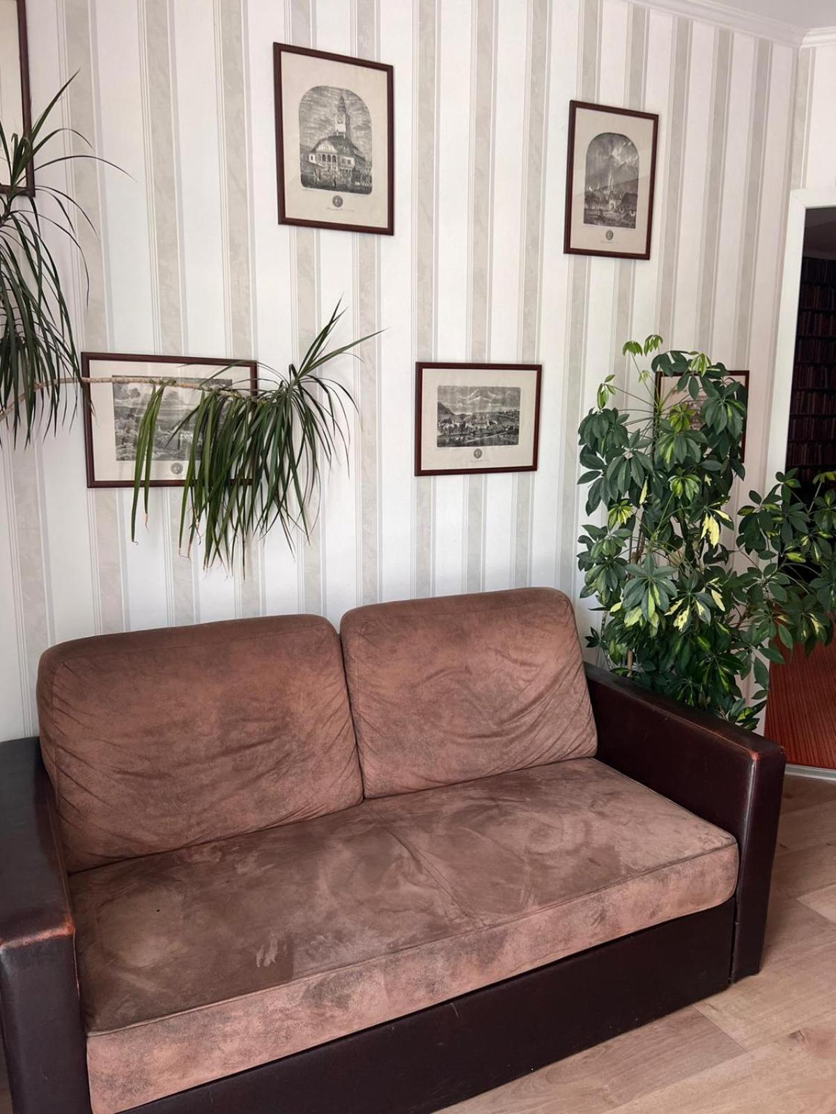 Pension Old City Braşov Dış mekan fotoğraf